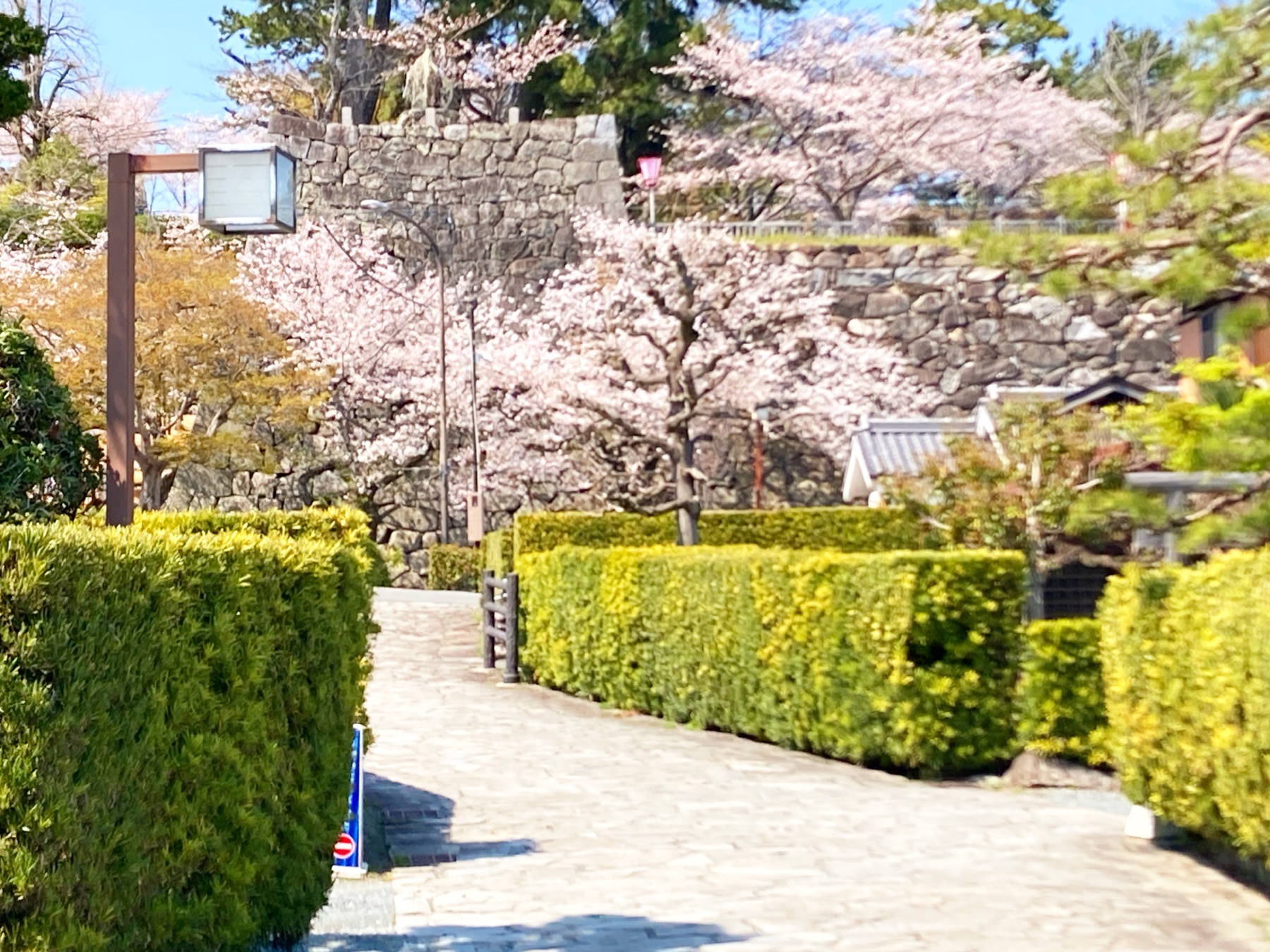 安心できる居場所、環境づくり